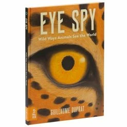 Book - Eye Spy